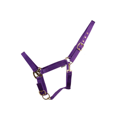 HyCONIC Head Collar #colour_purple