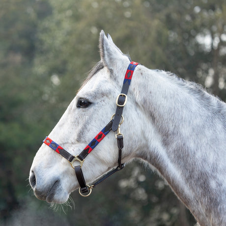 Hy Equestrian Polo Leather Head Collar #colour_navy-red
