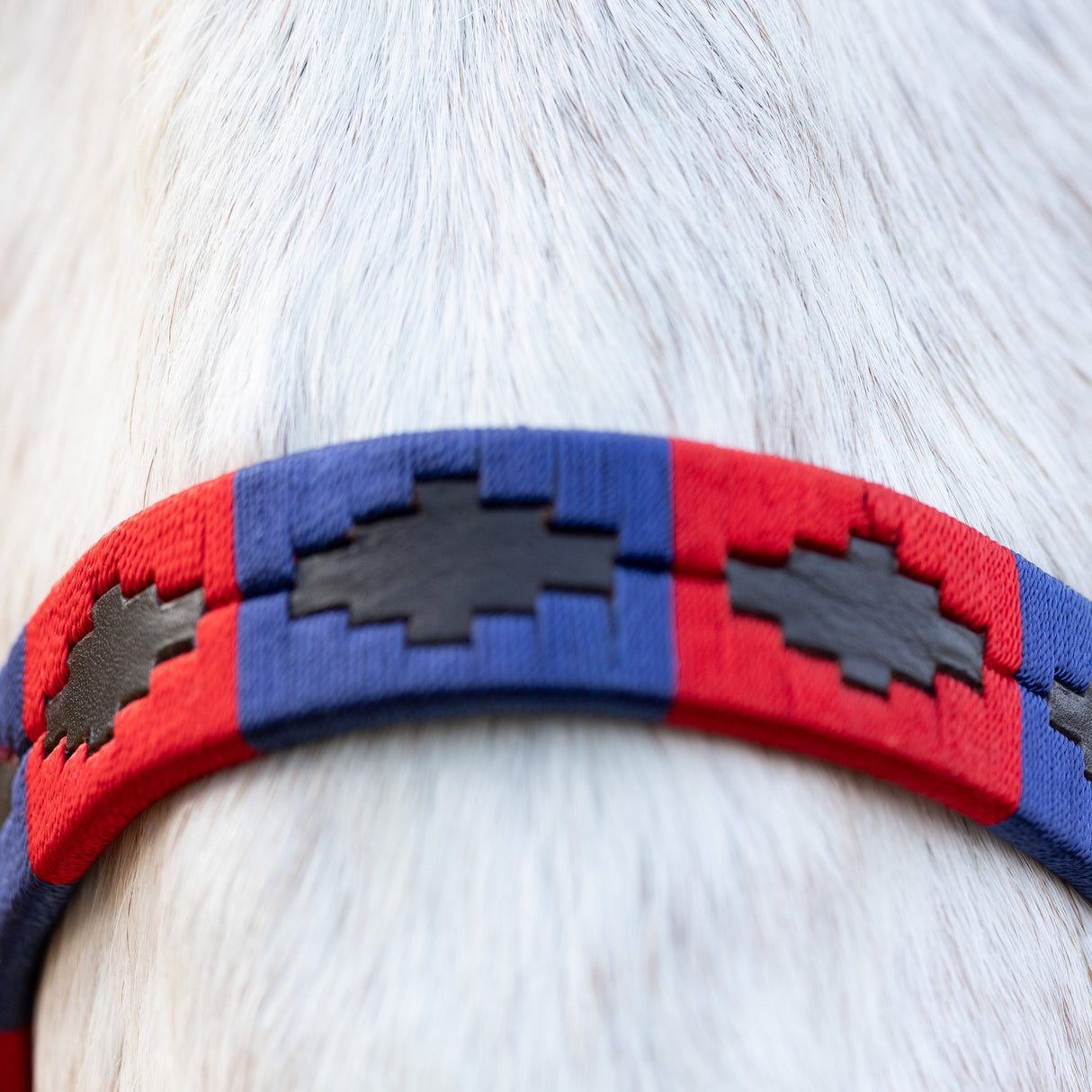 Hy Equestrian Polo Leather Head Collar #colour_navy-red