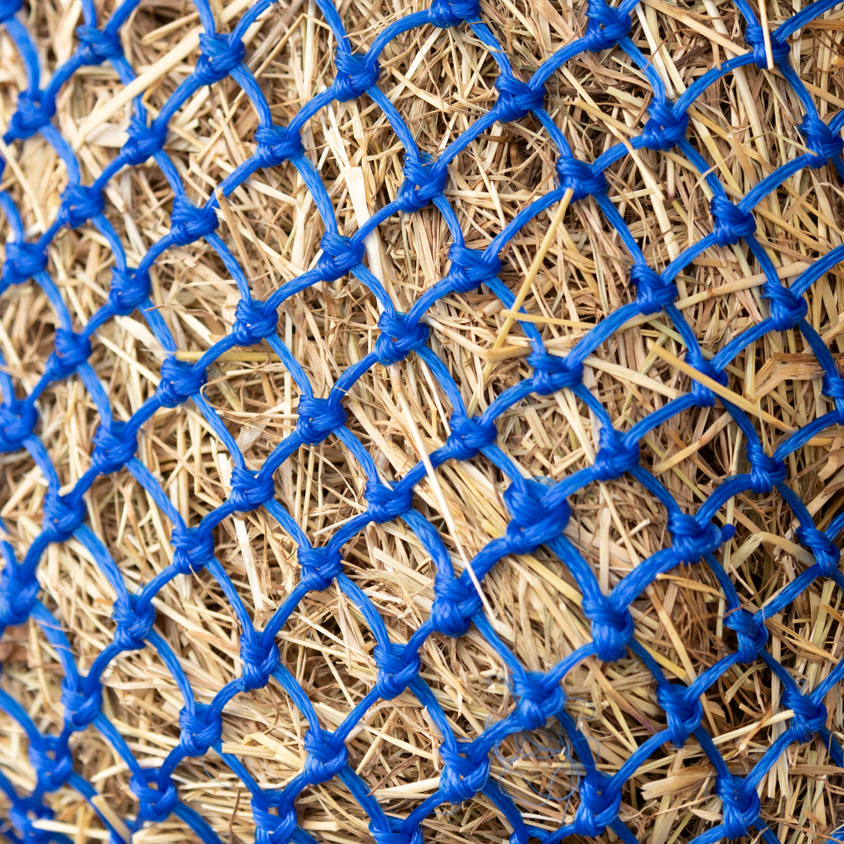 Hy Equestrian Slow Flow Small Hole Haynet #colour_blue