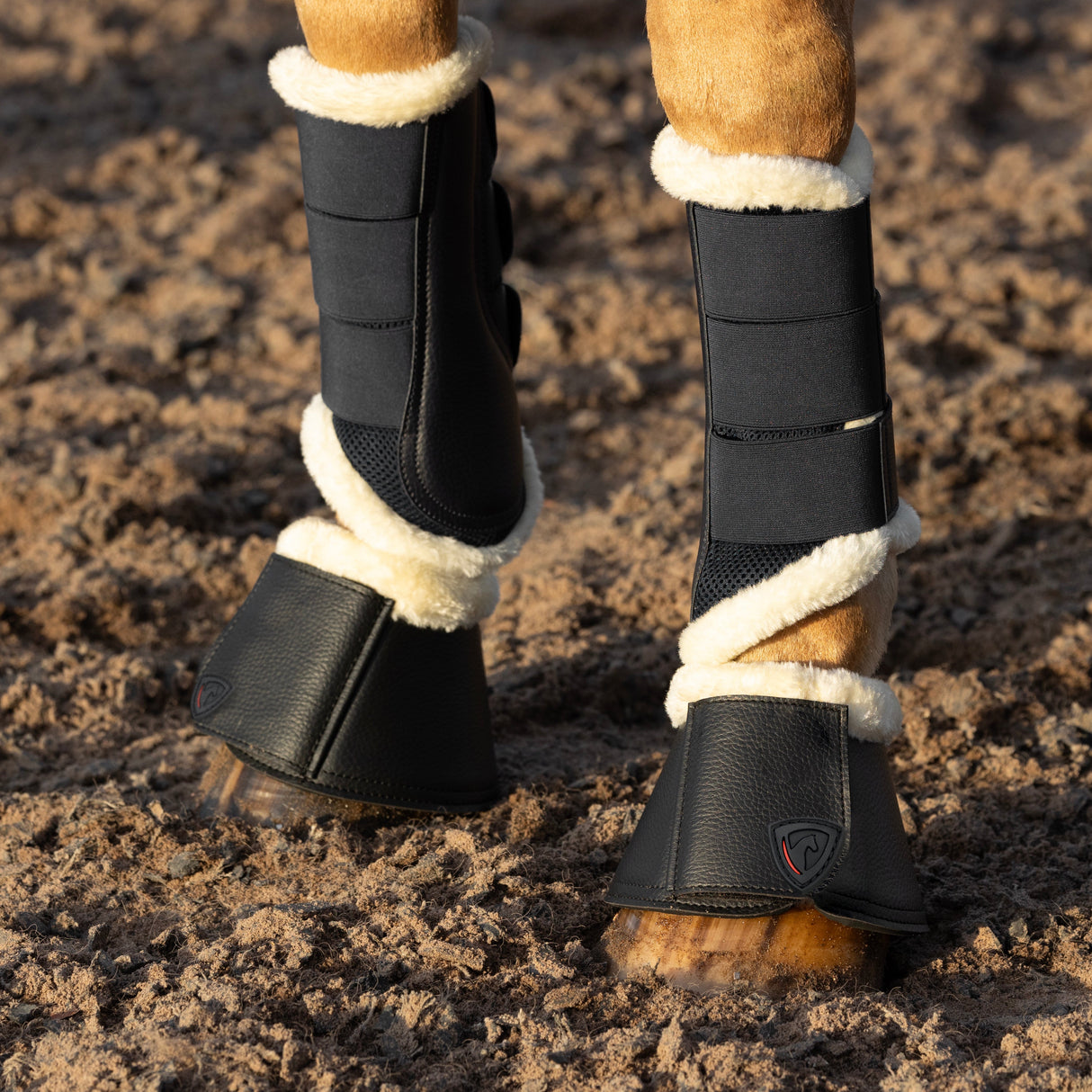 ProReaction Performance Air Mesh Brushing Boots by Hy Equestrian #colour_black