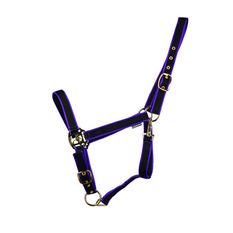 HyCONIC Head Collar #colour_black-purple