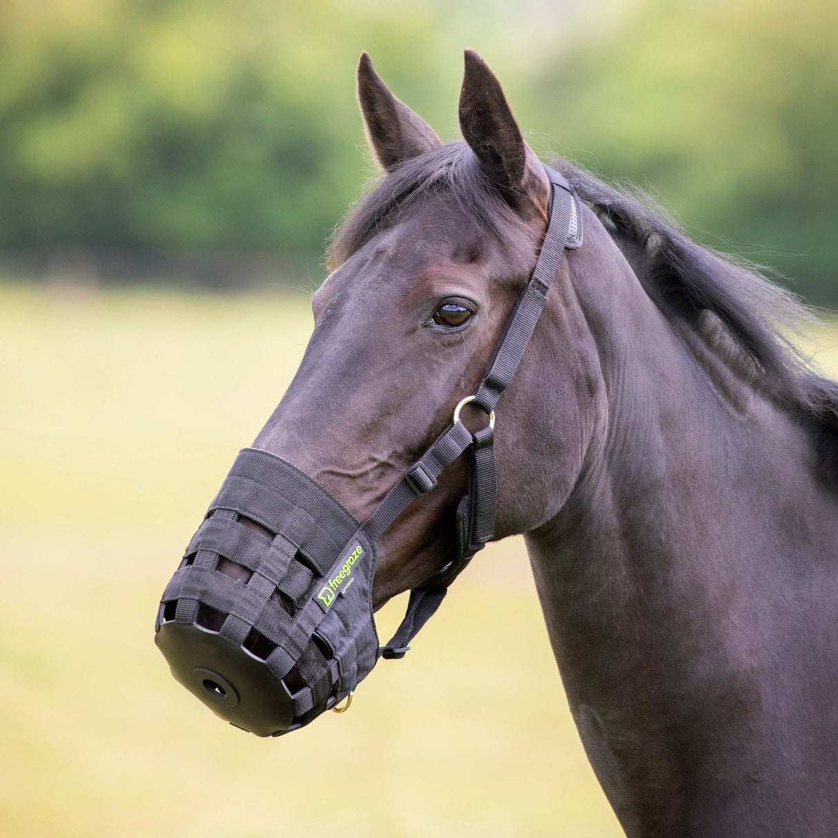Shires Comfort Weidemaulkorb