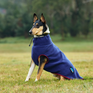 Weatherbeeta Comfitec Fleece Zip Dog Coat #colour_navy-burgundy