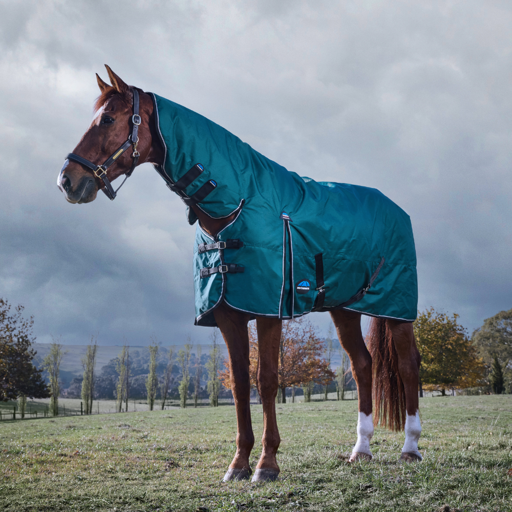 Weatherbeeta Comfitec Classic 220G Combo Turnout #colour_forest-green-black