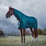 Weatherbeeta Comfitec Classic 220G Combo Turnout #colour_forest-green-black