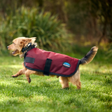 Weatherbeeta Comfitec Classic Waterproof Dog Coat #colour_burgundy
