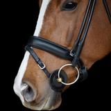 Acavallo Contoured Bit Guards Classic Gel #colour_black