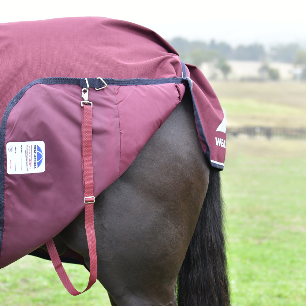 Weatherbeeta Comfitec Essential 220G Combo Turnout #colour_burgundy-navy