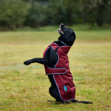 Weatherbeeta Comfitec Premier Deluxe Waterproof Dog Coat #colour_burgundy-navy