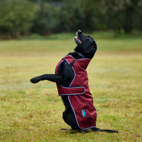 Weatherbeeta Comfitec Premier Deluxe Waterproof Dog Coat #colour_burgundy-navy