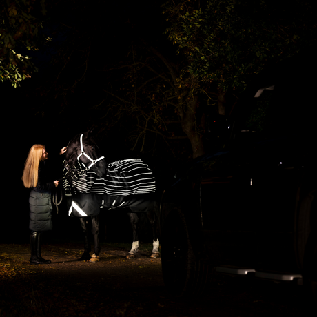 Horseware Ireland Amigo 1200D FieldSafe Reflectech Plus 100g Turnout Rug #colour_black-reflective-black