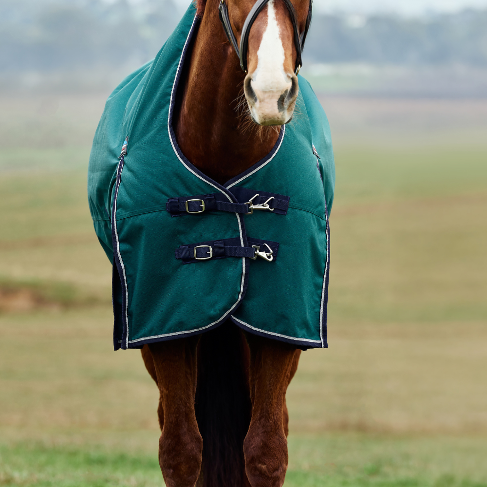 Weatherbeeta Comfitec Plus Dynamic 220G High Neck Turnout #colour_forest-green-navy