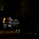 Horseware Ireland Amigo 1200D FieldSafe Reflectech Plus 250g Turnout Rug #colour_black-reflective-black