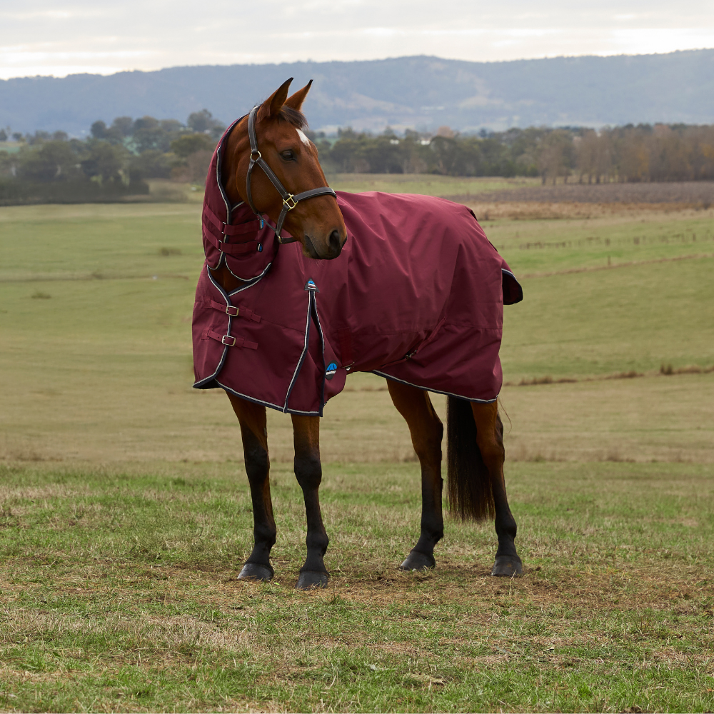 Weatherbeeta Comfitec Prelim 220G Combo Turnout #colour_burgundy-navy
