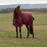 Weatherbeeta Comfitec Prelim 220G Combo Turnout #colour_burgundy-navy
