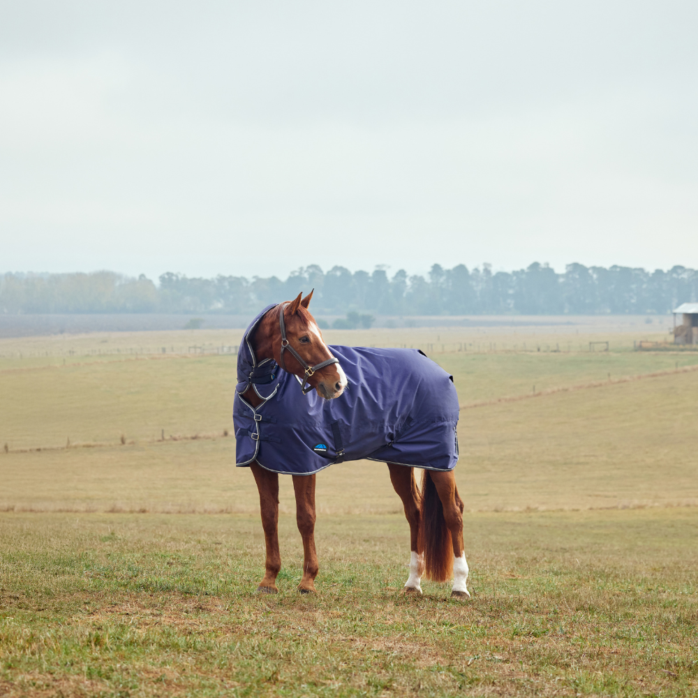 Weatherbeeta Comfitec Tyro 220G Combo Neck Turnout #colour_navy-charcoal
