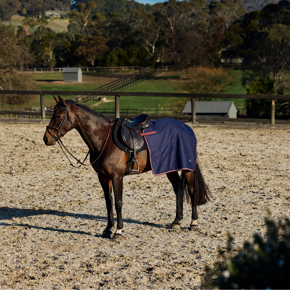 Weatherbeeta Essential Fleece Lined Quarter Sheet #colour_navy-burgundy