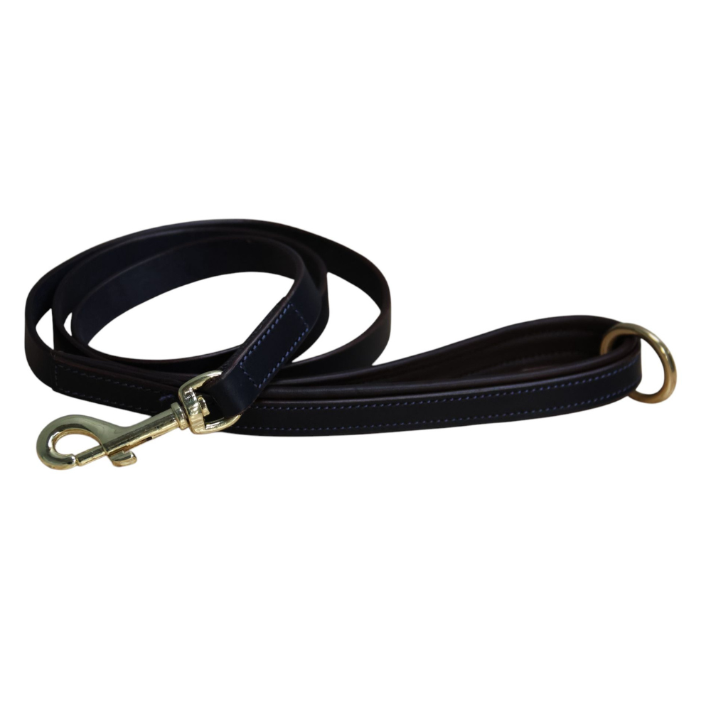 Mackey Padded Dog Lead #colour_navy-brown