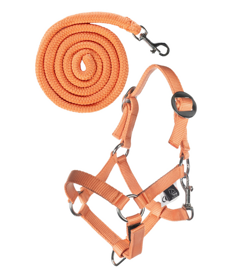 HKM Head Collar and Lead Rope -Hobby Horsing Basic- #colour_orange