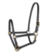 STAR Leather Foal Halter #colour_black