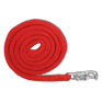 Waldhausen Economic Panic Hook Lead Rope #colour_red