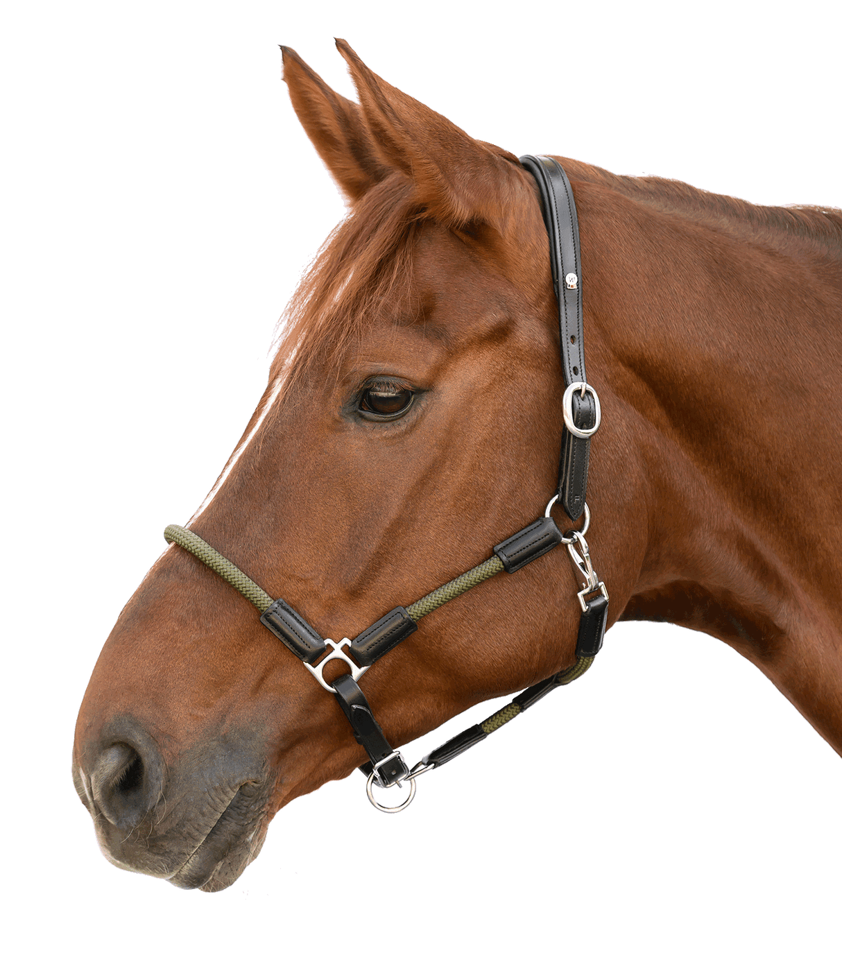 Waldhausen X-Line Nevada Leather Halter #colour_black-green