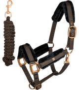 Waldhausen Phoenix Halter Set