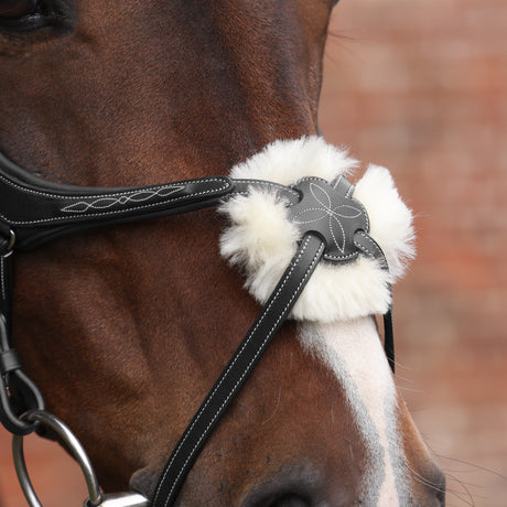Shires Velociti LUSSO Opus 180M Grackle Bridle #colour_black