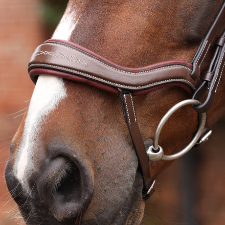 Shires Velociti LUSSO Opus 180M Ergonomic Flash Bridle #colour_havana