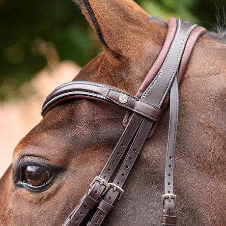 Shires Velociti LUSSO Opus 180M Dressage Cavesson Bridle #colour_havana