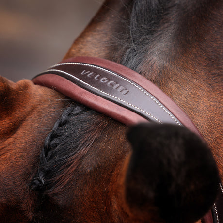 Shires Velociti LUSSO Opus 180M Dressage Cavesson Bridle #colour_havana