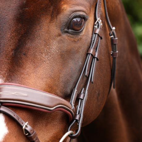 Shires Velociti LUSSO Opus 180M Dressage Flash Bridle #colour_havana
