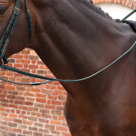 Shires Velociti LUSSO Opus SureGrip Reins #colour_black