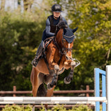 SWING H24 Lady Shine Riding Hat #colour_black-matt