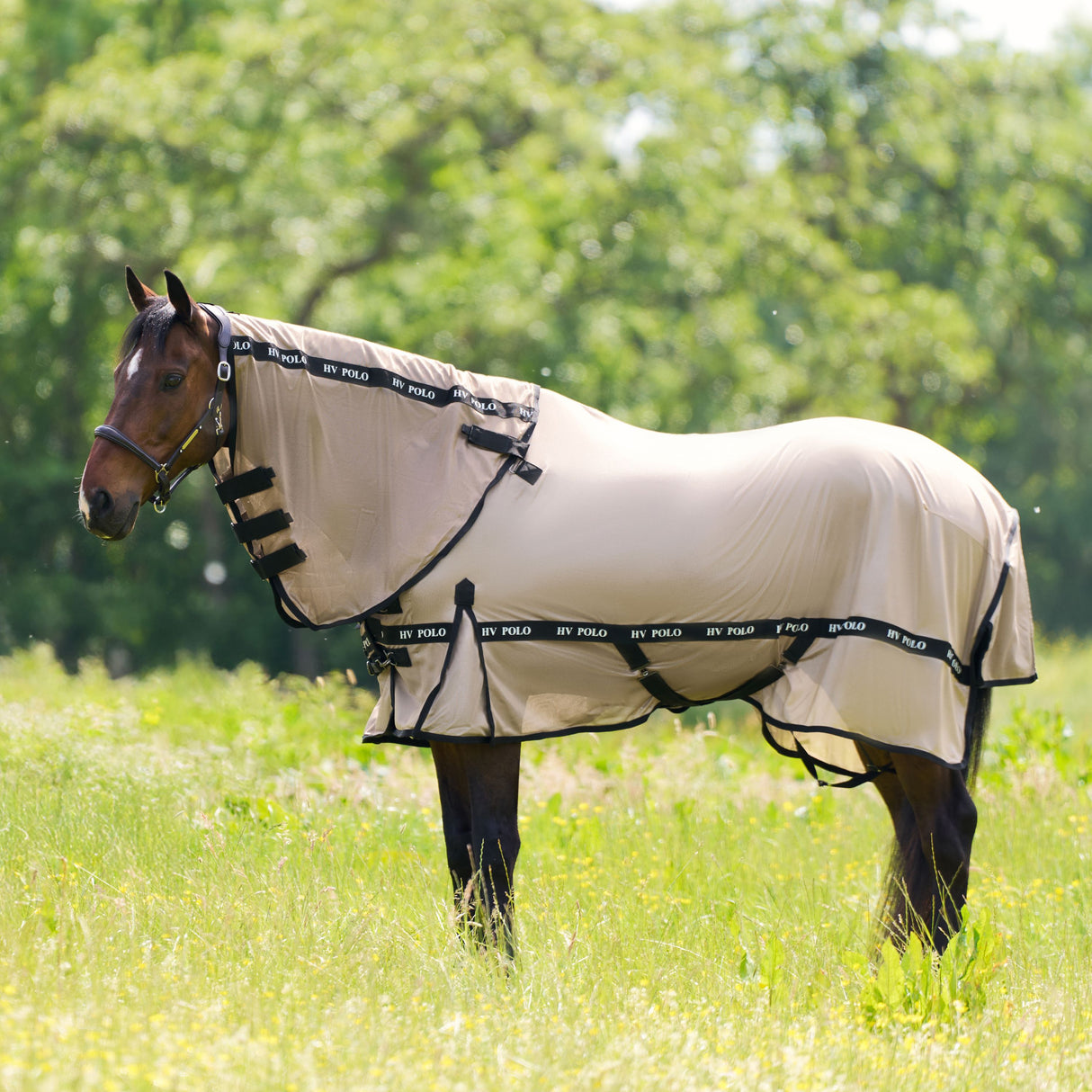 HV Polo Nena Fly Blanket