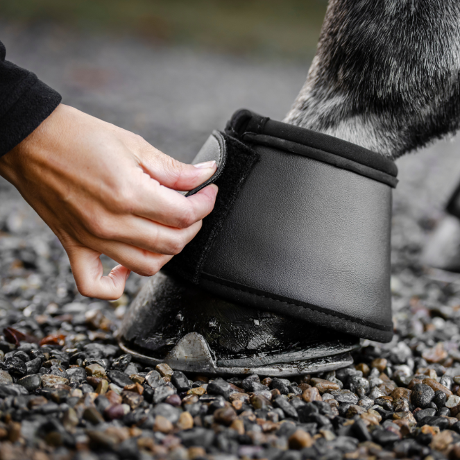 Horseware Ireland Overreach Boots #colour_black