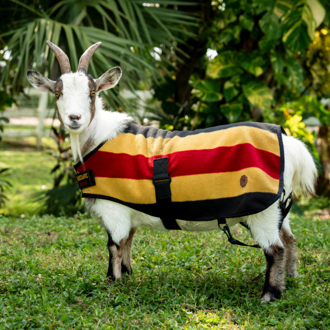 Horseware Ireland Newmarket Goat Fleece #colour_whitney-gold