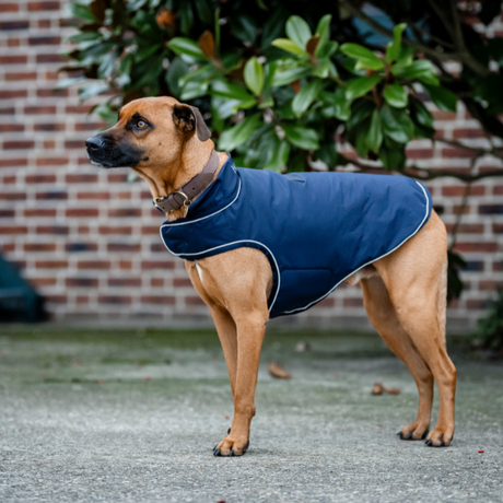 Horseware Ireland Signature 100g Dog Rain Coat #colour_navy