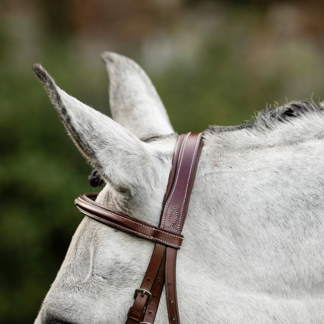 Horseware Ireland Hunter Cavesson Bridle with Reins #colour_dark-tan