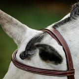 Horseware Ireland Hunter Cavesson Bridle with Reins #colour_dark-tan