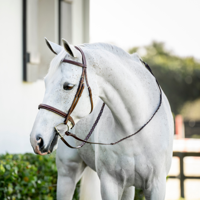 Horseware Ireland Pony Hunter Cavesson Bridle with Reins #colour_dark-tan