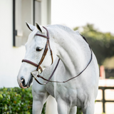 Horseware Ireland Pony Hunter Cavesson Bridle with Reins #colour_dark-tan
