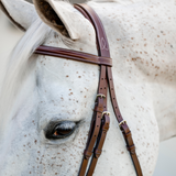 Horseware Ireland Pony Hunter Cavesson Bridle with Reins #colour_dark-tan