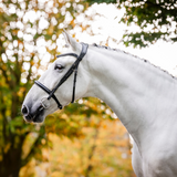 Horseware Ireland Cavesson Bridle #colour_black