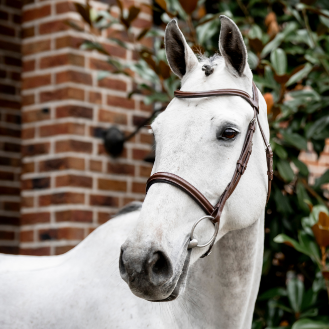 Horseware Ireland Cavesson Bridle #colour_brown