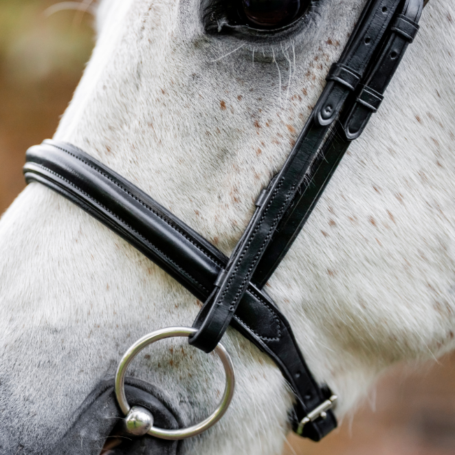 Horseware Ireland Pony Cavesson Bridle #colour_black