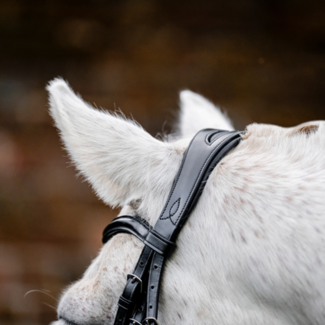 Horseware Ireland Pony Cavesson Bridle #colour_black