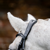 Horseware Ireland Pony Cavesson Bridle #colour_black