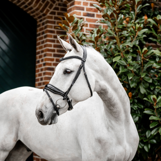 Horseware Ireland Diamante Flash Bridle #colour_black-black